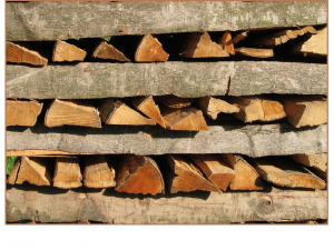 tree-wood-140568_1280