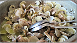 steamed-clams-603110_1920