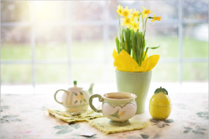daffodils-1316127_1920