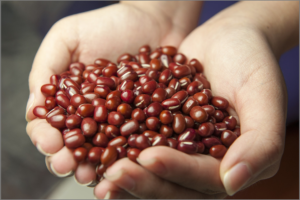 red-beans-587592_1920