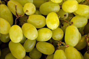 grape-1534495_1920