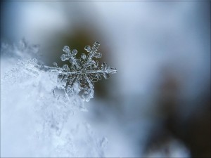 snowflake-1245748_1920